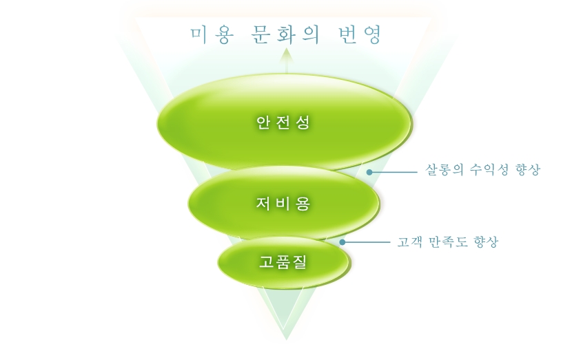 Reflection of the Beauty Culture