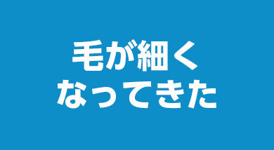 毛が細くなってきた